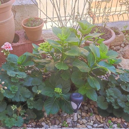 Apartman Campo Šibenik Kültér fotó